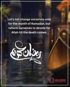 WHEEL CHAIR LIFT INSTALLATION DUBAI