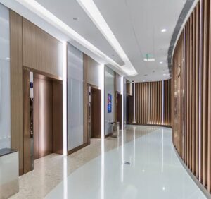 BEST ELEVATORS COMPANIES UAE Space Saving Home Lifts UAE