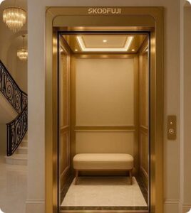 BEST ELEVATORS COMPANIES UAE Luxury Home Elevator UAE